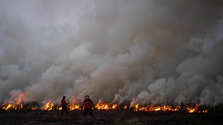 Kebakaran Lahan di Kalimantan Barat Meluas Cuaca Panas dan Angin Kencang Jadi Pemicu Utama!